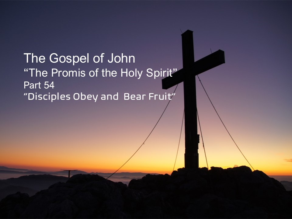 The Promise of the Holy Spirit