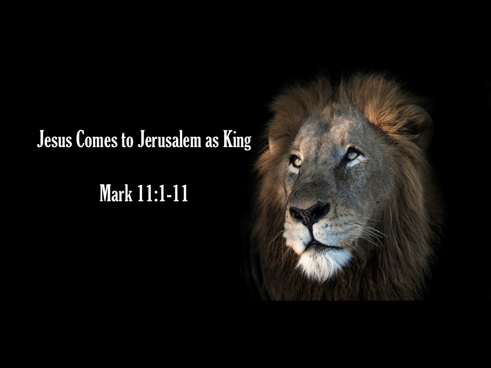 Jesus Comes to Jerusalem as King