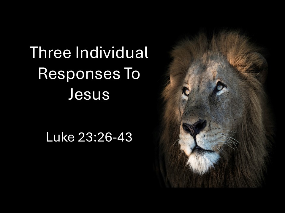 Three Individual Responses to Jesus