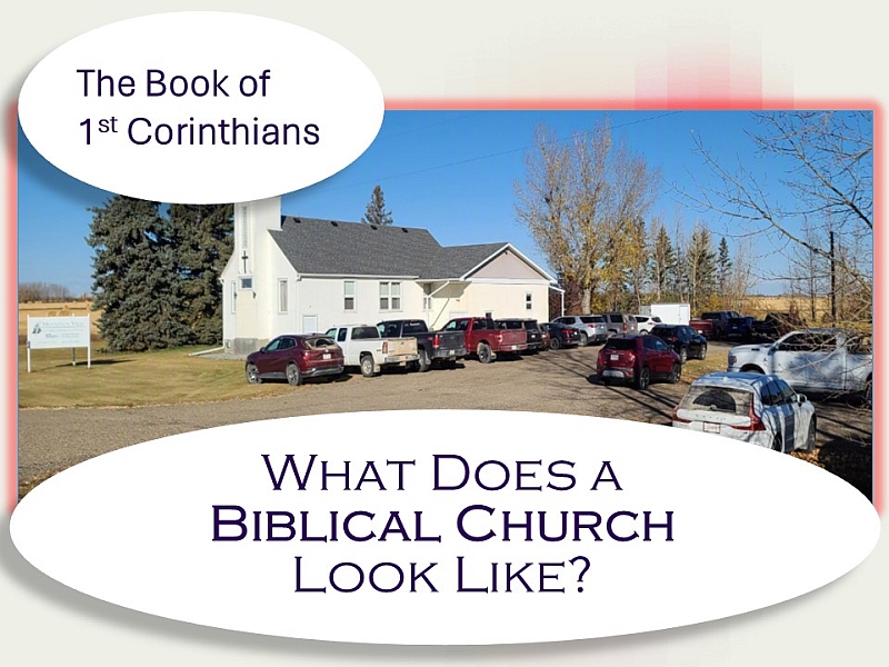 Introduction – What Does a Biblical Church Look Like