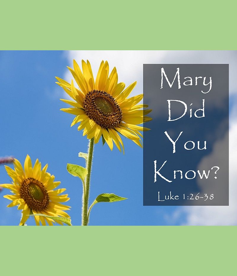 Mary, did you know?